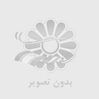 اجرای وال مش بدون نیاز به نیروهای متخصص